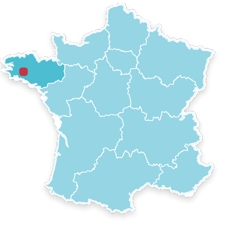 56110 Gourin